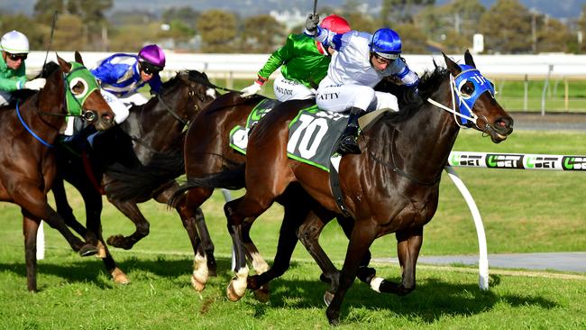 The $24 million stimulus package for the racing industry comes with some concerning fine print. Picture: Mark Brake