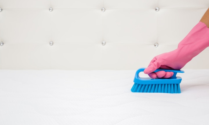 How to Clean Pee on a Mattress - The Happier Homemaker