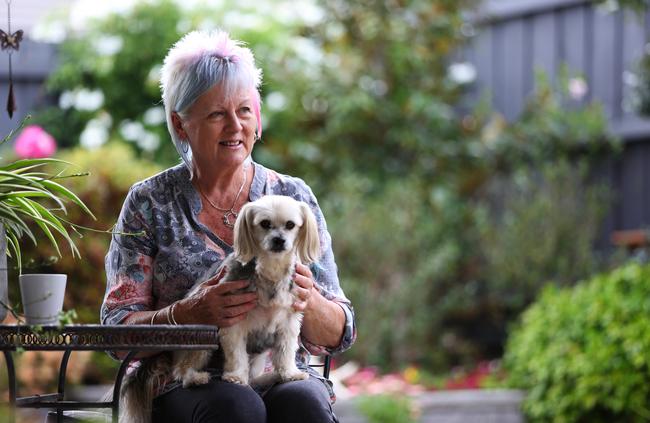 The Spring Farm garden of Camden Garden Competition winner Linda Jane. Picture: Angelo Velardo.