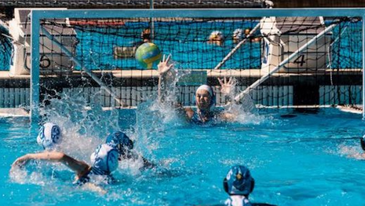 Water polo Local Water Polo Live Stream The Courier Mail