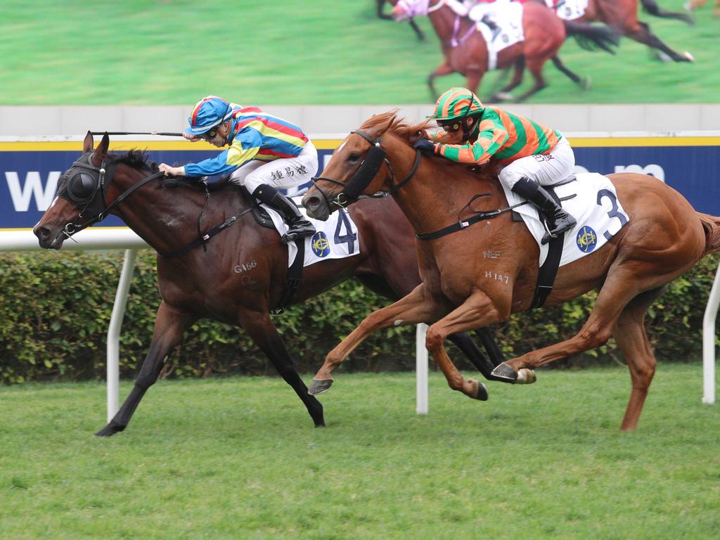 Galvanic is one of Marquand's leading rides. Picture: HKJC