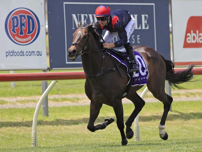 NEWCASTLE, AUSTRALIA - NOVEMBER 13: Tommy Berry on I Am Superman in an exhibition gallop during Sydney Racing at Newcastle Racecourse on November 13, 2021 in Newcastle, Australia. (Photo by Mark Evans/Getty Images)