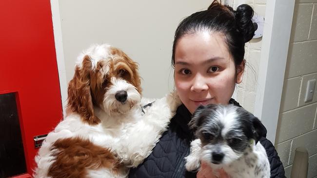 Shina Huynh with Louie (left) and another dog in happier times.