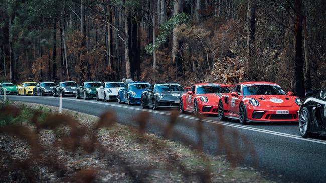 Porsche field lined up for a stage of Targa Tasmania.