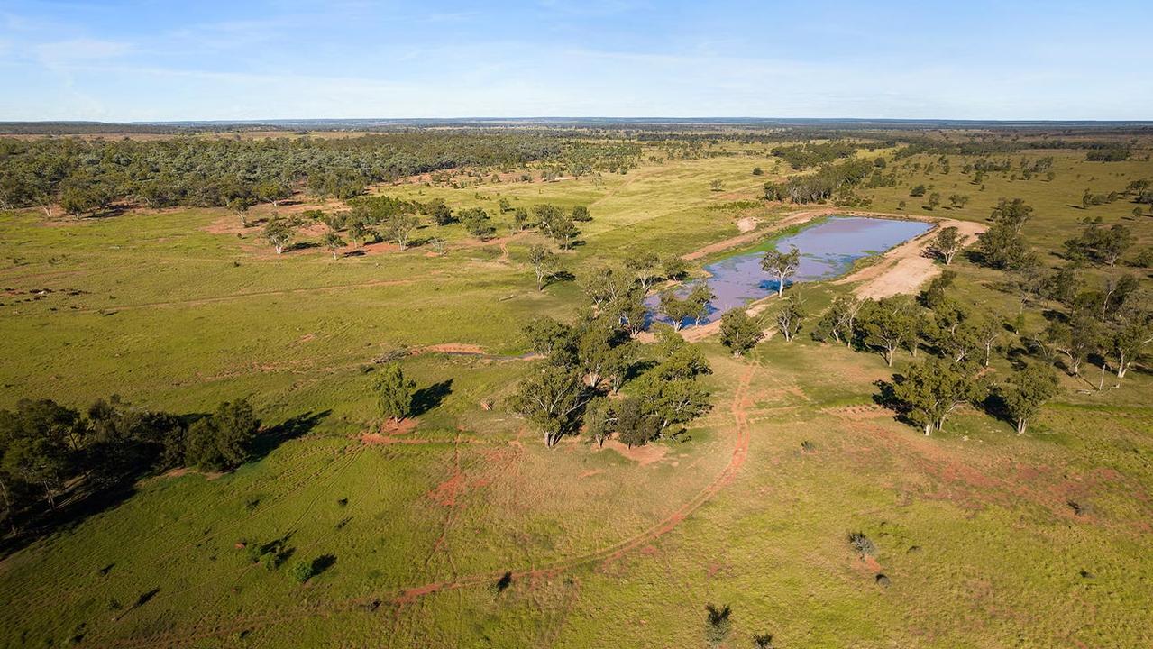 Aussie families snap up Qld cattle empire for $200m-plus
