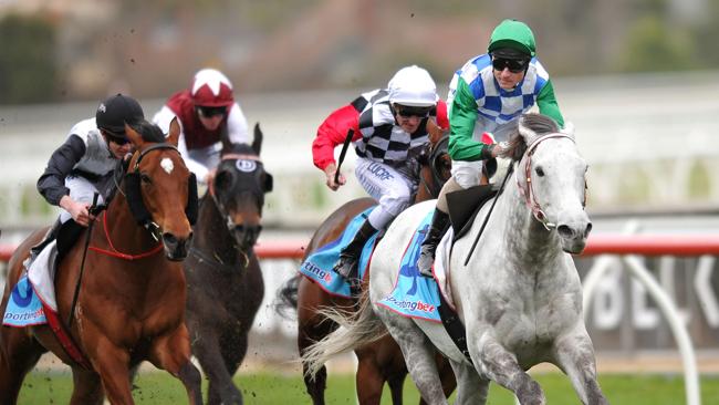 Glen Boss and Puissance de Lune will be popular with punters in the Makybe Diva Stakes.