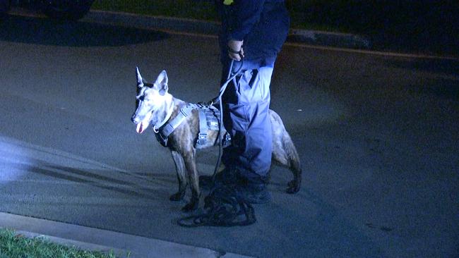 The dog squad managed to track down three teenagers followed the alleged armed robbery. Photo - RMGNEWS