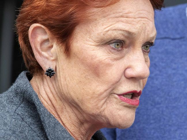 Senator Pauline Hanson and One Nation Senate candidate Steve Mav at Hobart.  Picture: Chris Kidd.