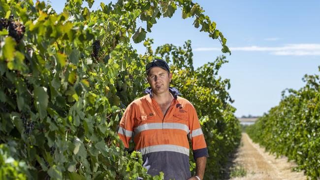 Murray Valley Winegrowers chair Chris Dent said many growers were wondering whether they should hang on or sell. Picture: Zoe Phillips