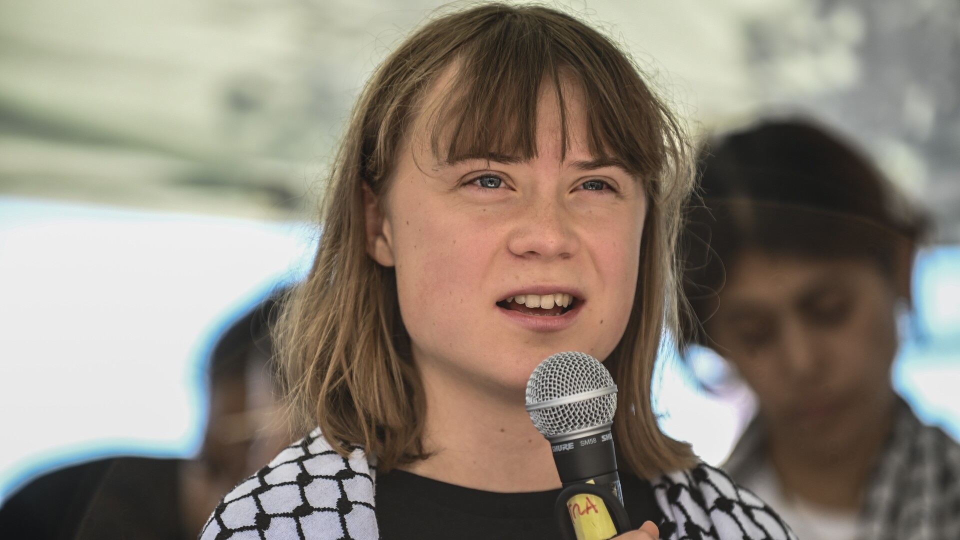 Greta Thunberg is a try hard ‘hero’ on her ‘absurd’ trip to Gaza