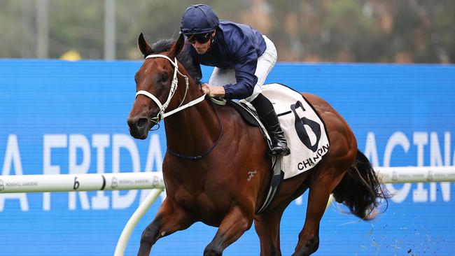 Wodeton produced the performance of the day at Rosehill Gardens. Picture: Jeremy Ng/Getty Images