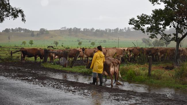 Agriculture is the biggest employer in Kyogle.