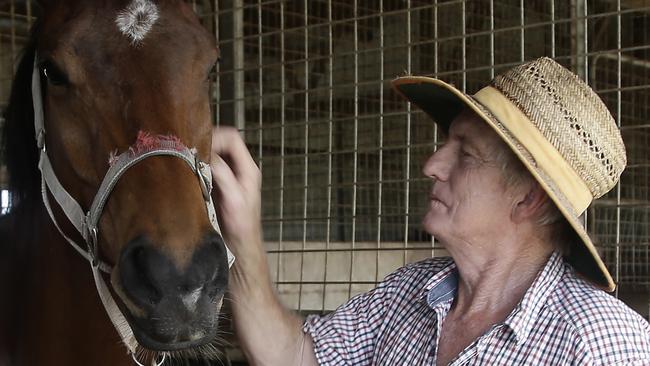 Innisfail horse trainer Greg Strickland was Melbourne Storm fullback Billy Slater's first employer. PICTURE: MATT NICHOLLS