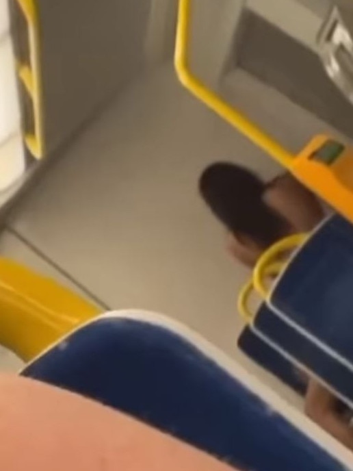 Police are investigating an incident on the Seaford line after a couple was caught having sex aboard a train carriage in a video posted to social media on Tuesday night. Shit Adelaide