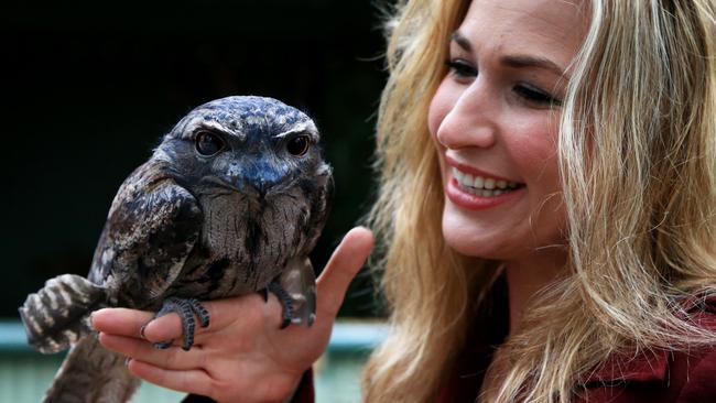 Vikki Campion meets an owl during her time as a Daily Telegraph journalist. Picture: Adam Taylor