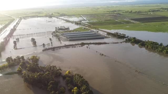 Sehan Stapleton captured some incredible aerial photographs of Lang Lang on Tuesday morning.