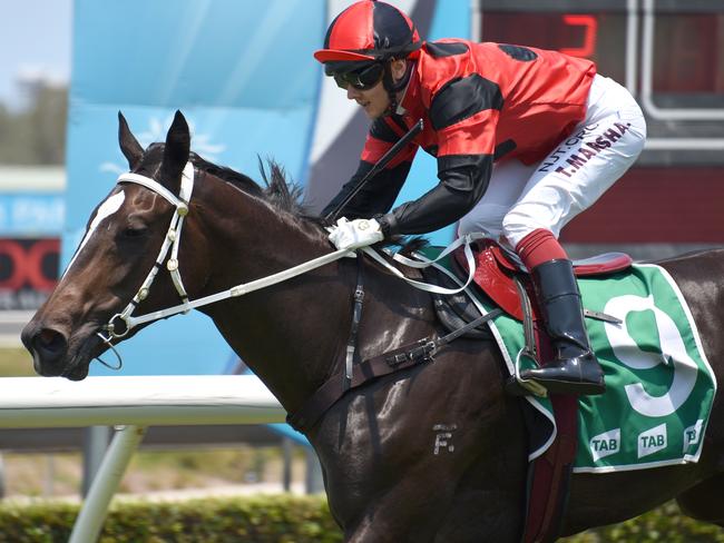 Winner of race 2 She's A Tigress ridden by Taylor Marshall at the Gold Coast Turf Club. (Photo/Steve Holland)