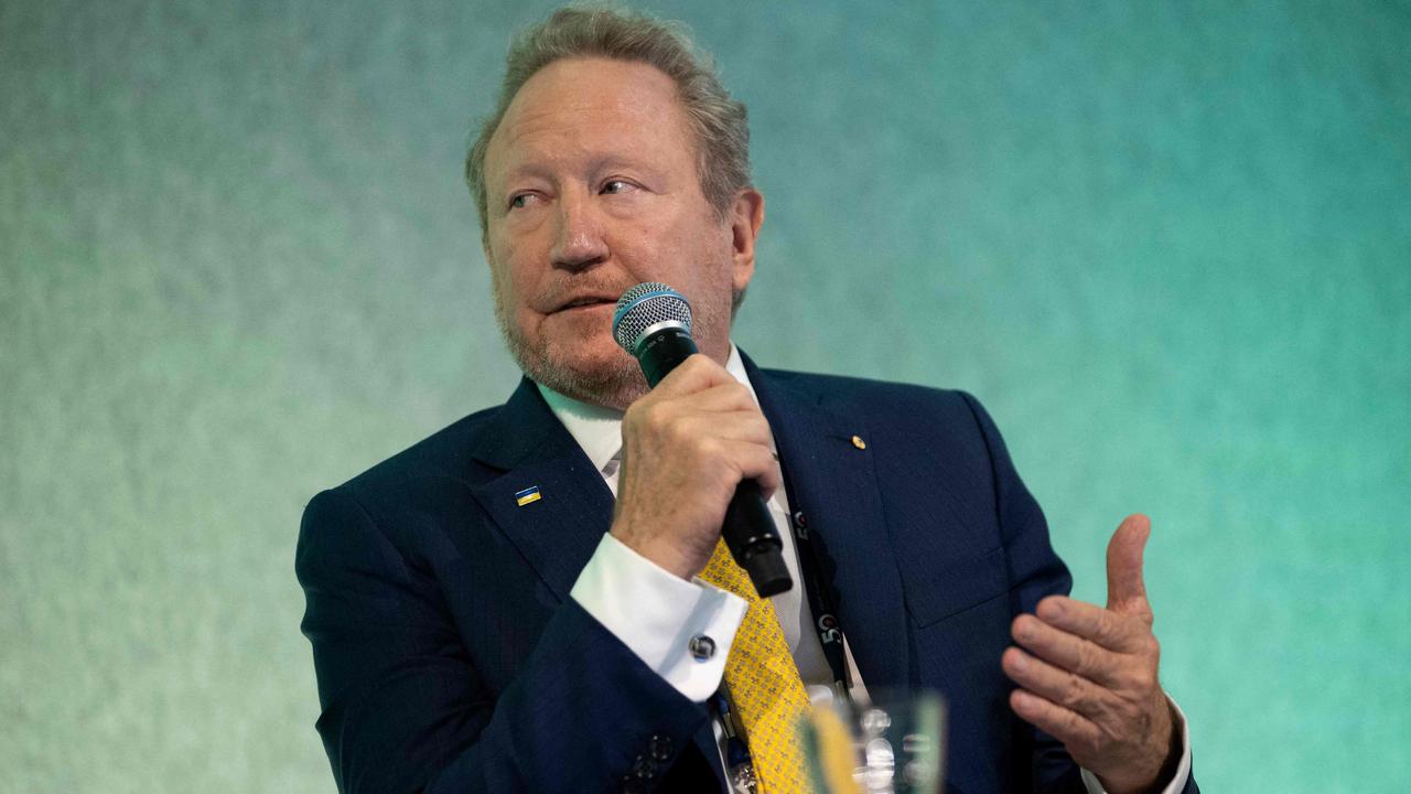 Fortescue chairman Andrew Forrest. Picture: AFP