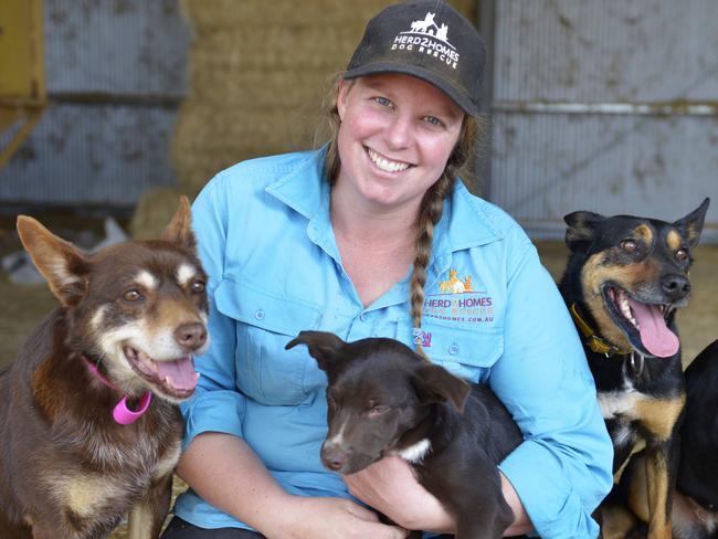 Peri Chappell runs Herd2Homes from her property at Deniliquin, NSW. Picture: Dannika Bonser