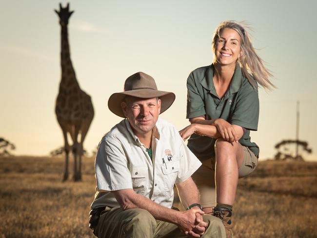 Monarto Zoo has begun work on their new section "Wild Africa" — Supervisor Tim Jenkins and Zookeeper Alice Karschimkus in the Giraffe paddock. Picture: Brad Fleet