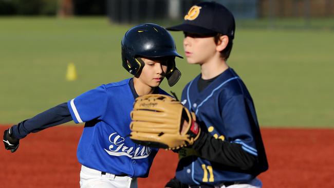 Junior baseball spread - Deakin Blues v Guild-Lara.  Picture: Mike Dugdale