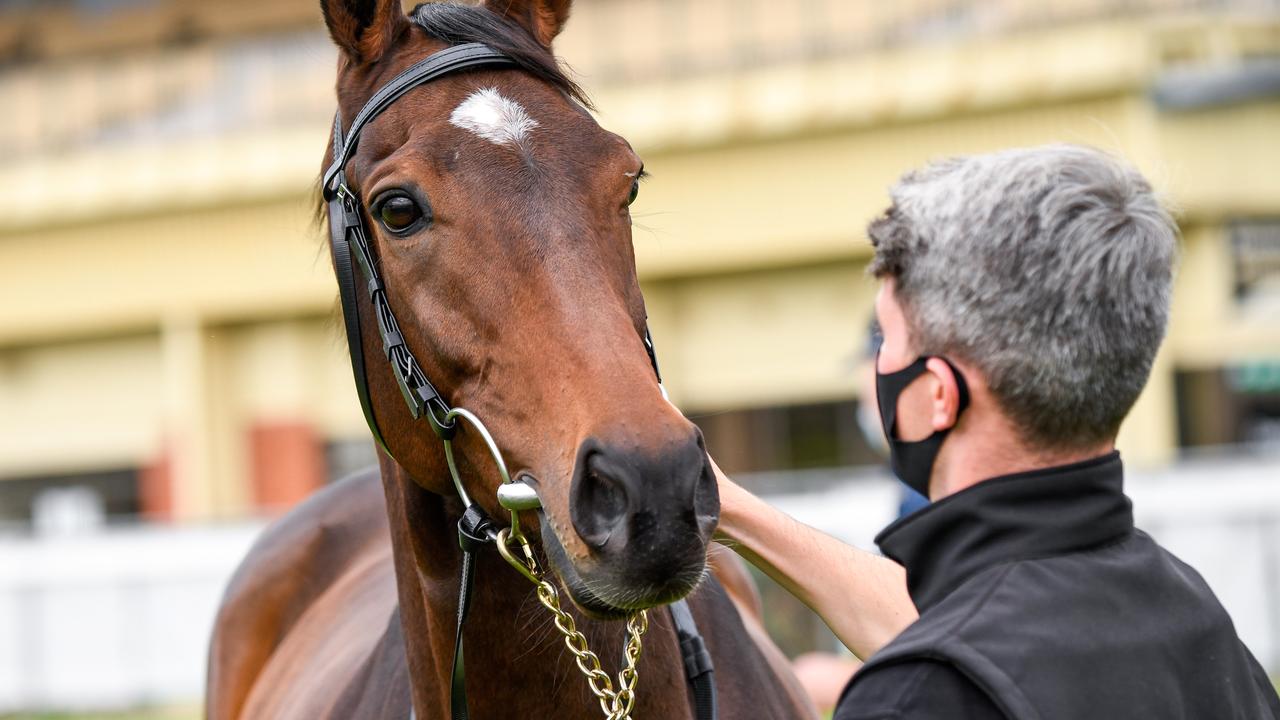 Melbourne Cup winner Twilight Payment earned one Kiwi punter a handsome payout.