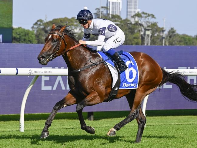 Wyong tips Wednesday: Imperial Force to strike again