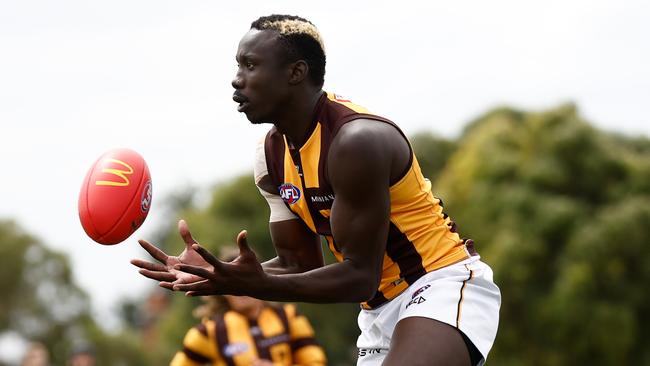 Mabior Chol is just one of the four new Hawks predicted to line-up in the forward line. Picture: Getty Images