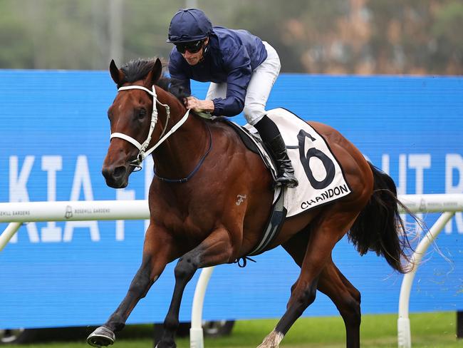 SYDNEY, AUSTRALIA - JANUARY 18:  James McDonald riding Wodeton win Race 1 Chandon Handicap during Sydney Racing at Rosehill Gardens Racecourse on January 18, 2025 in Sydney, Australia. (Photo by Jeremy Ng/Getty Images)