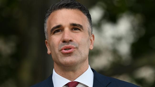 Labor Leader Peter Malinauskas. Picture: NCA NewsWire / Naomi Jellicoe