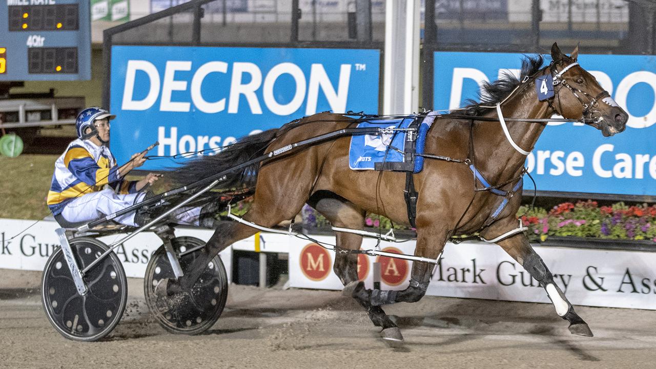 Cruz Bromac sits on the second line of betting in the pacers division of the Inter Dominion.