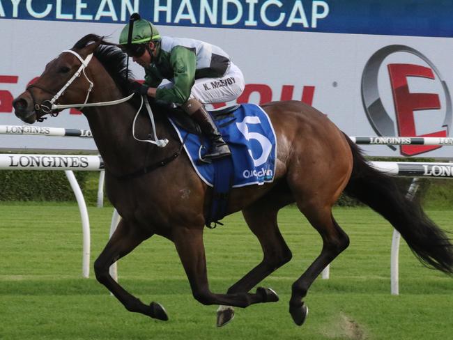 Brookspire can claim her first stakes win in the Group 3 Belle of The turf Stakes at Gosford. Picture: Grant Guy