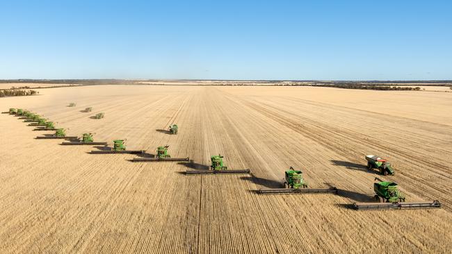 merredin farms the weeky times