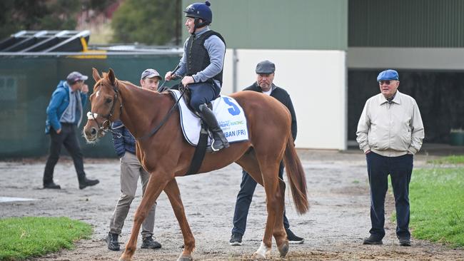 Lloyd Williams (right) looking at Vauban at Werribee recently. Picture: Getty Images.