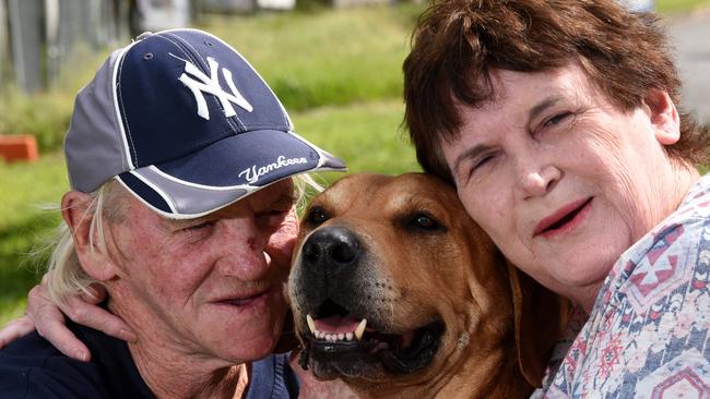 Gold Coast man takes on Tweed Council over his dog on death row