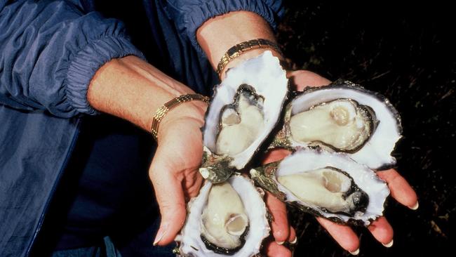 Tweed Shire Council notified the Environmental Protection Authority and the operators of nearby oyster farms about the sewage spill.