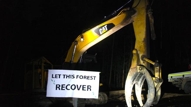 Anti-logging protests have been held at Bagawa State Forest.