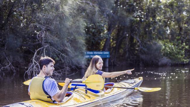 Kayaking on the Noosa Everglades.