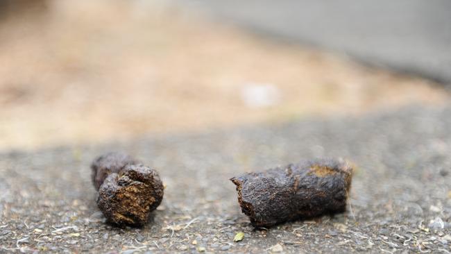 Redlands residents sick of unsightly dog poo.