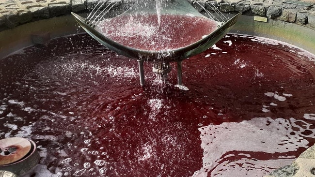 Protesters dyed several UQ fountains red. Picture: Facebook