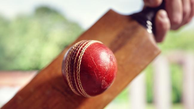 Cricket’s stars of the future tipped to be big hits