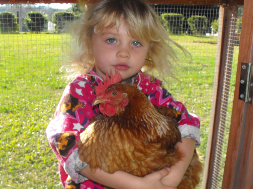 Summer Steer, 4, from Tewantin, who died after swallowing a lithium battery in 2013. Picture: Supplied