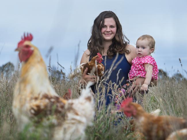 Madelaine Scott was able to buy an egg-grading machine through the power of social media.