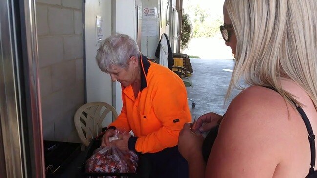 Mareeba lychee farmer