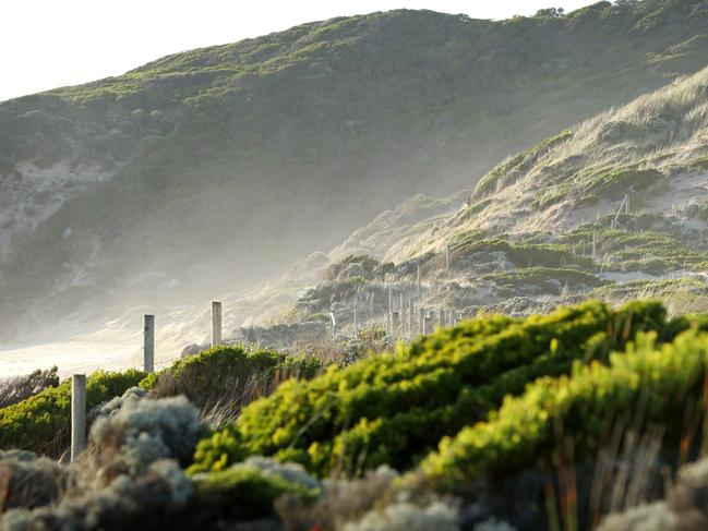 Carl Williams story - Dense scrub between the carpark and the water at Koonya Beach. Picture: Mark Stewart