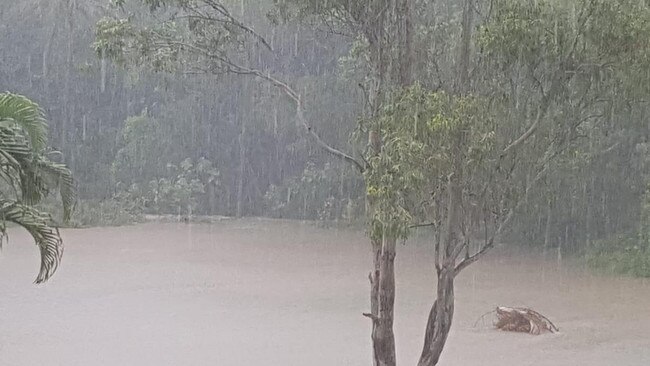 Coast resident's back paddock in Worongary. Picture: Mel Mooney