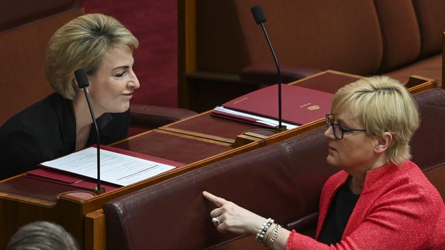 Linda Reynolds in the Senate with colleague Michaelia Cash.