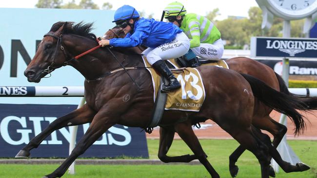 Andermatt is a short-priced favourite to make it two from two this campaign. Picture: Grant Guy