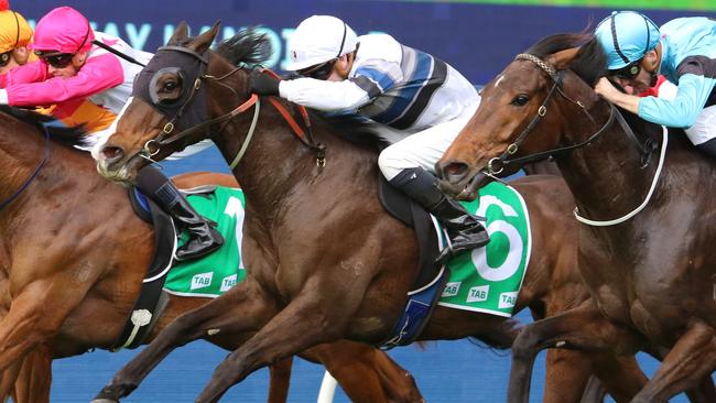 Baledon (white cap) is drawn to figure prominently at Goulburn. Picture: Grant Guy
