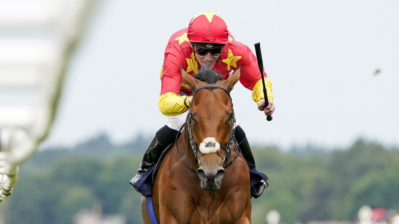 State Of Rest could return to Australia to defend his Cox Plate crown after winning the Prince of Wales’s Stakes. Picture: Alan Crowhurst/Getty Images